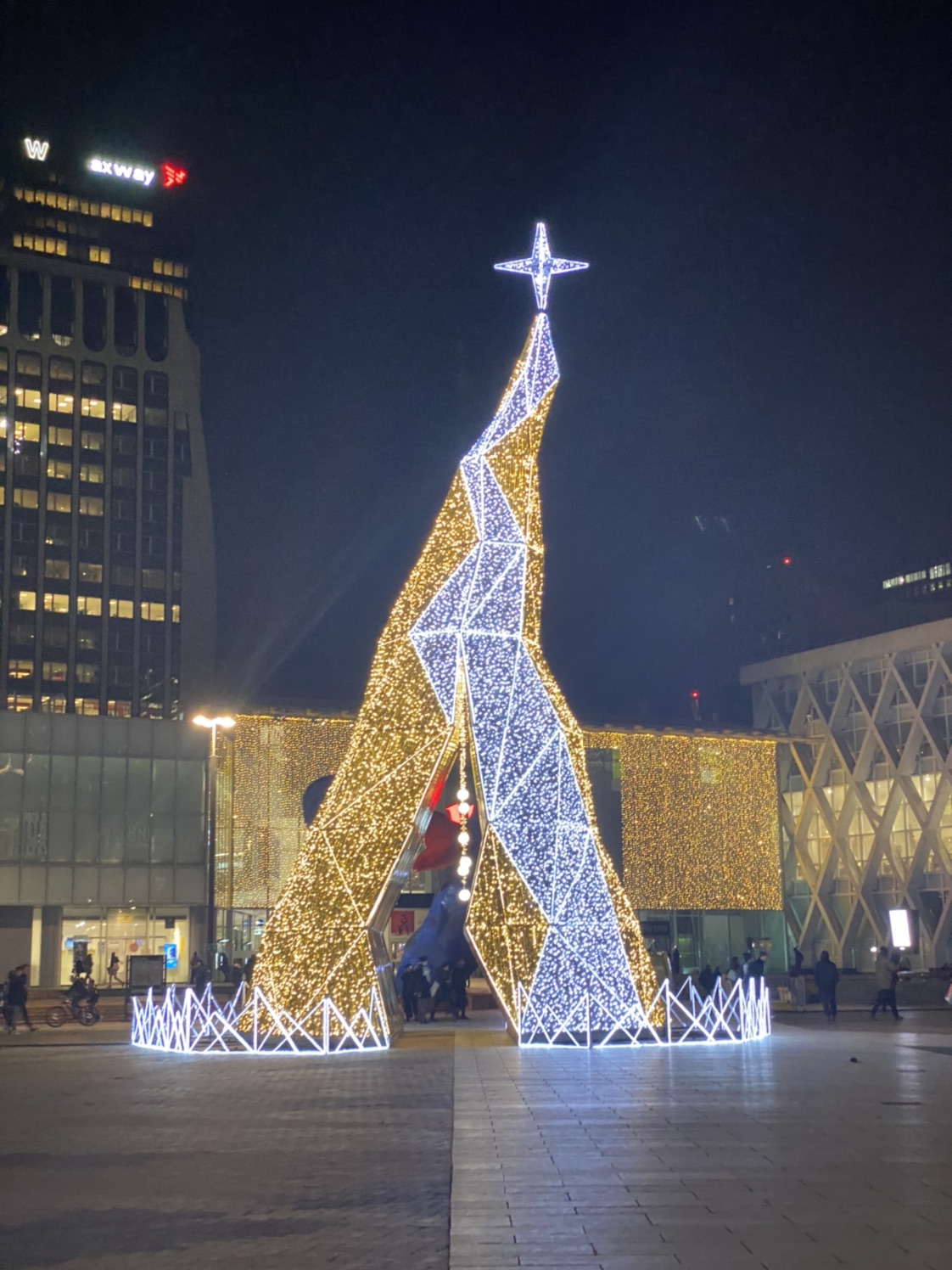 拉德芳斯圣诞集市有关东煮！！