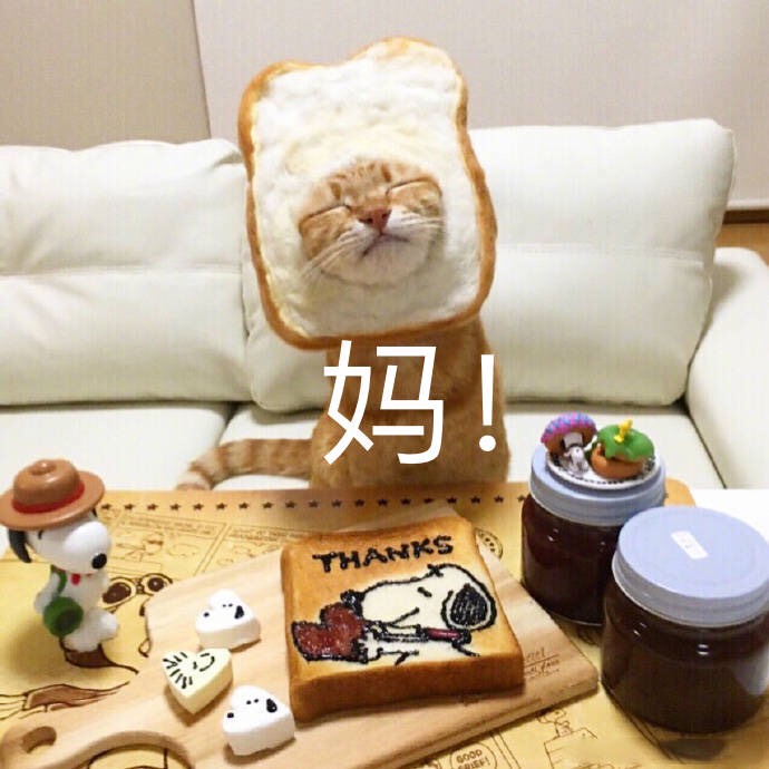 青年卡