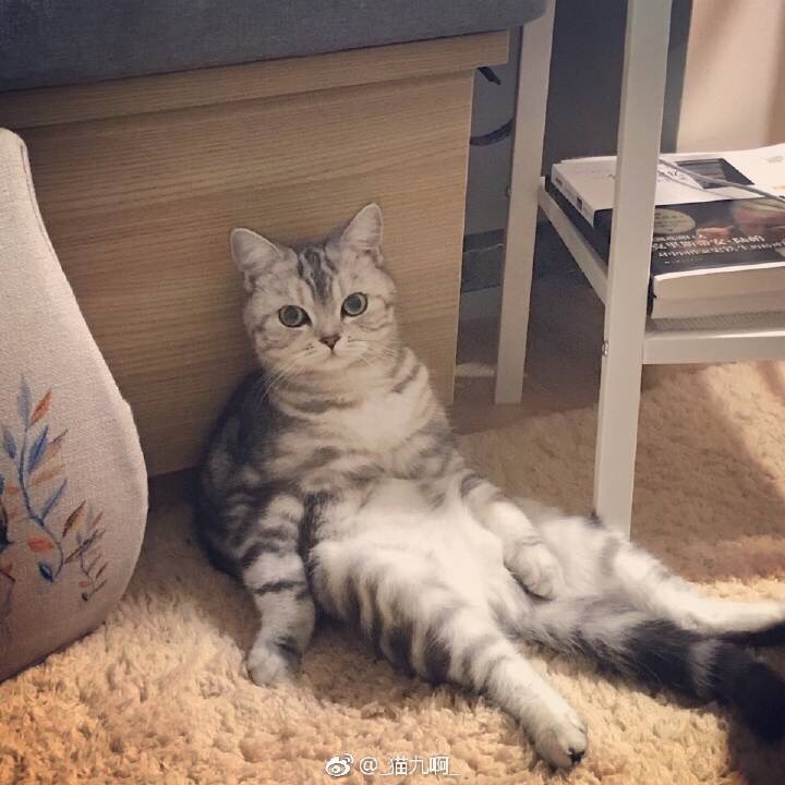墨镜🕶️推荐？