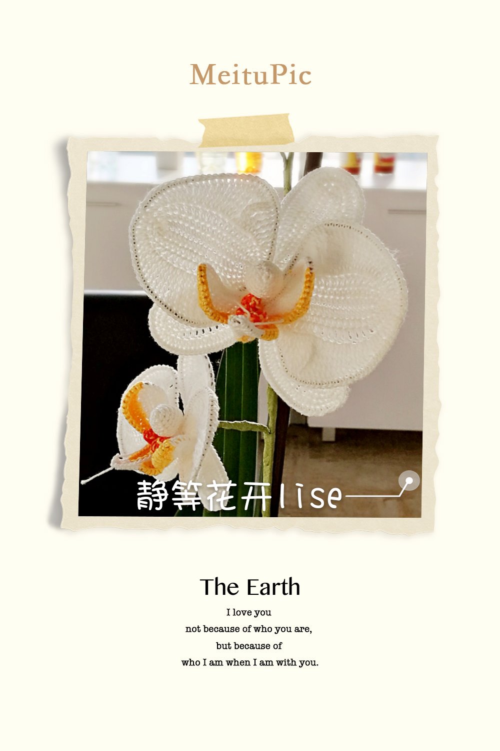 兰花