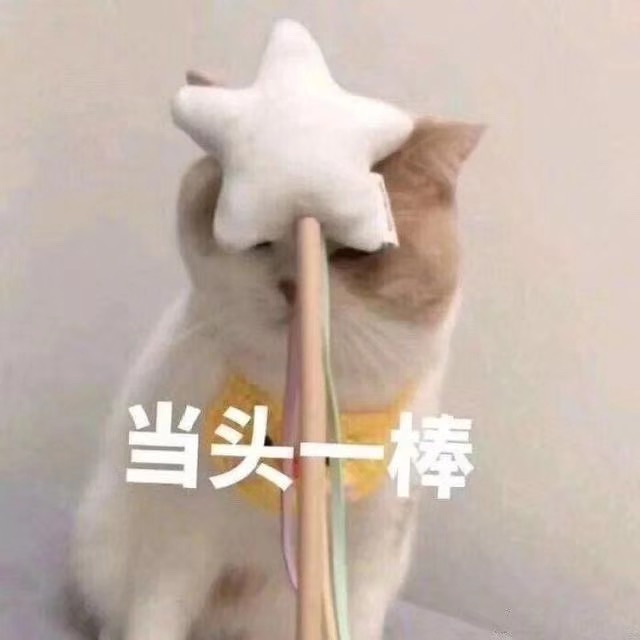 94省补办RCPC需要什么？