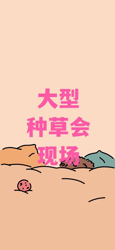 大家的心愿,宛如一个大型种草会现场直播