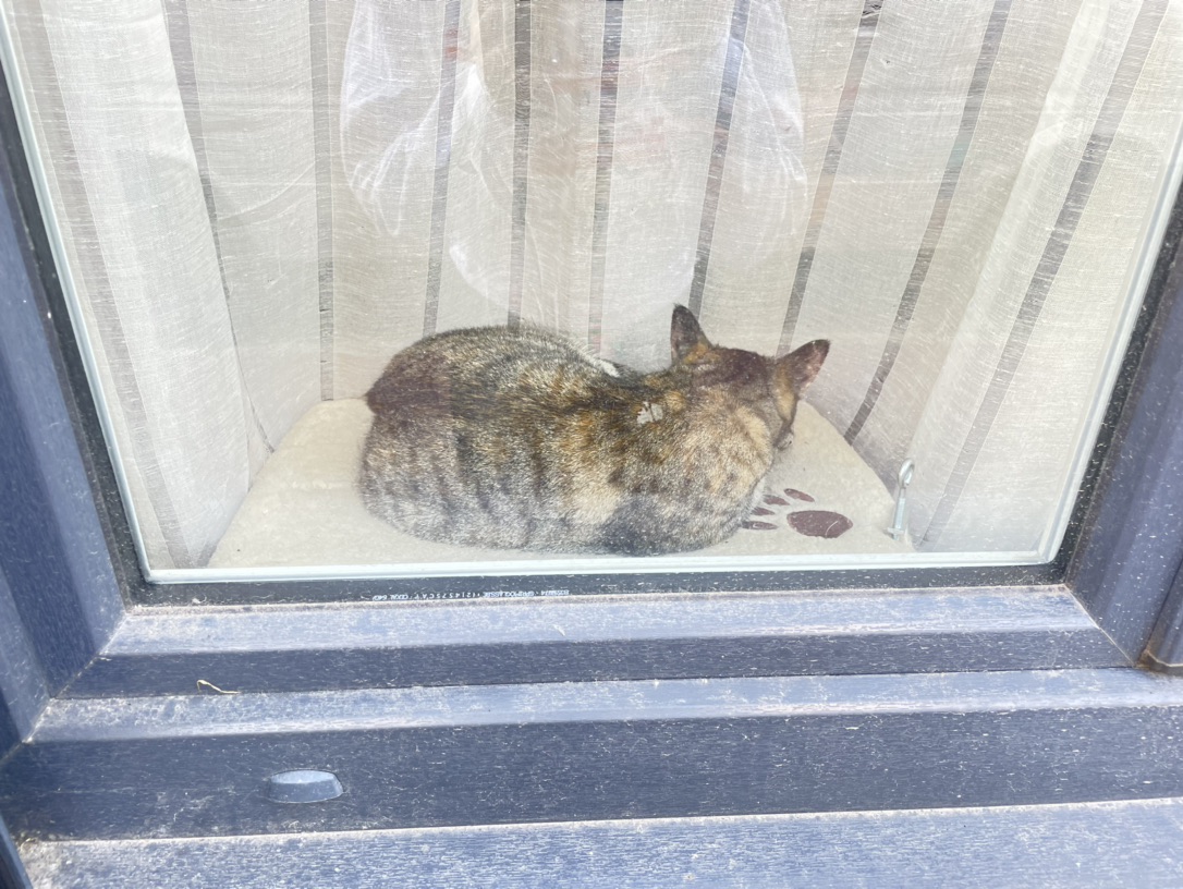 看牙医真的是心理受伤