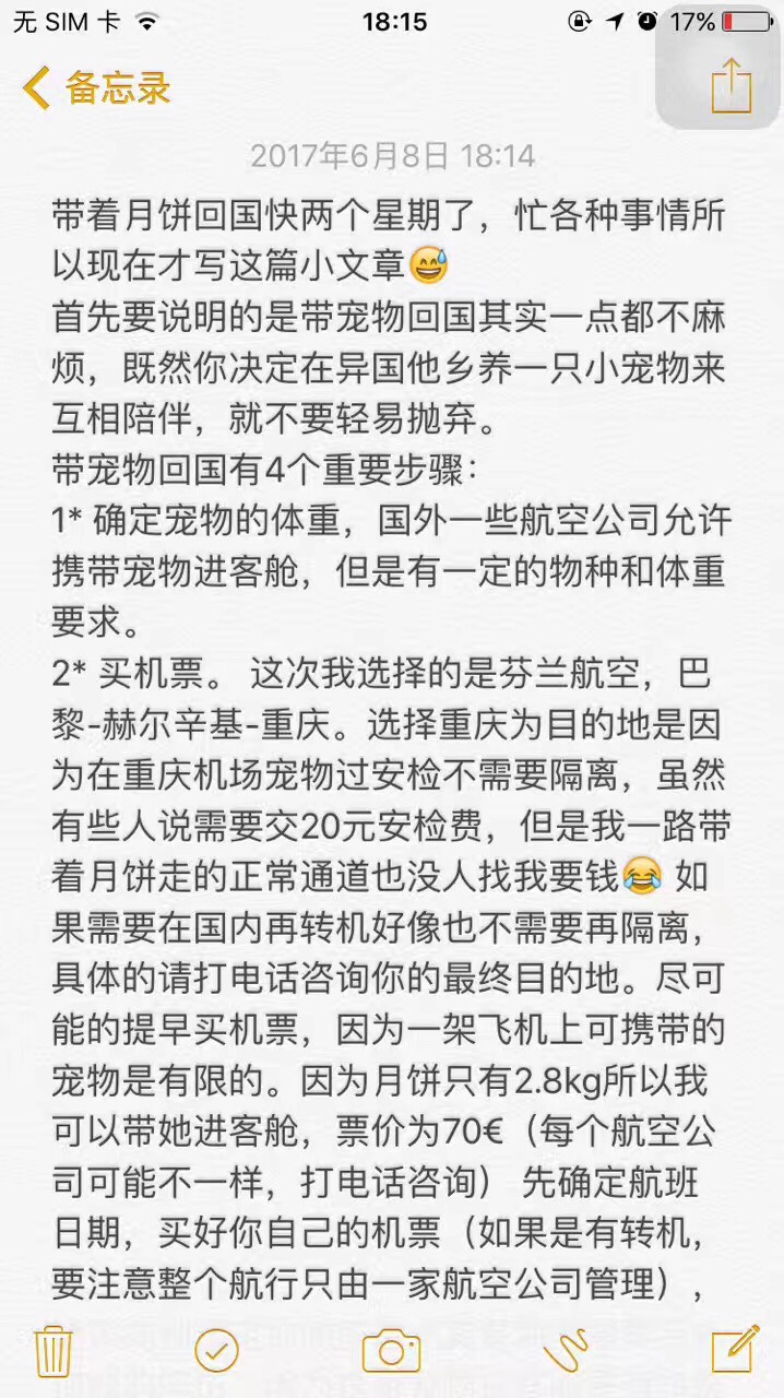 如何带小型猫犬进客舱回国