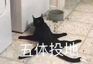 除了诊所还有什么地方可以打疫苗吗