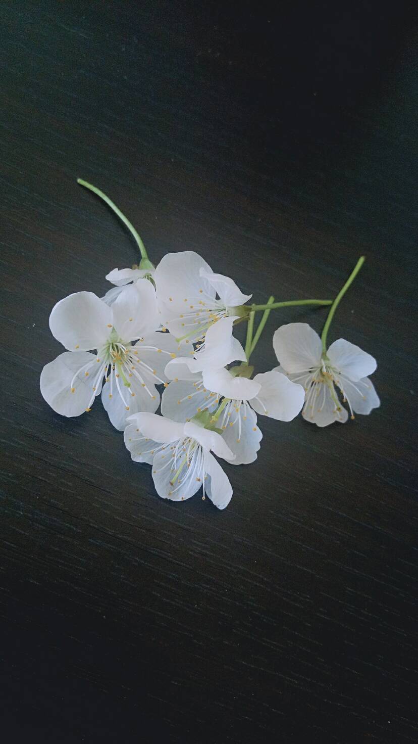 求助