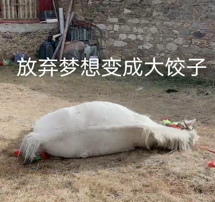 想问问德国现在哪里可以打耳洞啊