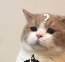 救命,猴痘到底是个啥,口罩刚摘,一看是飞沫传染,又默默戴上了