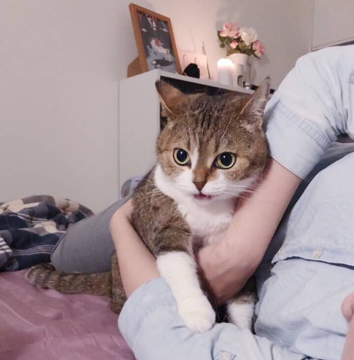 丘丘镇场