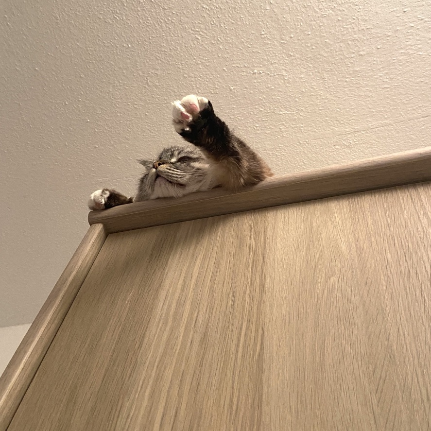 怎么还不摸我！