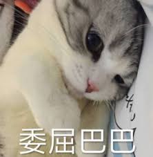 https://treasureimage.ecentime.com/file0_KIWBUnWVanJL.jpg?p=web_treasure_detail