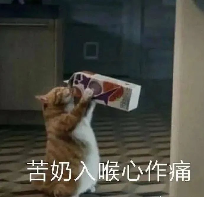 求药：蒲地蓝消炎片/蓝芩口服液