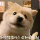 真吐槽假吐槽？