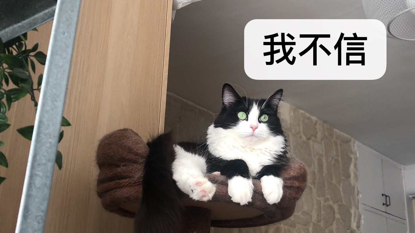 一脸难以置信