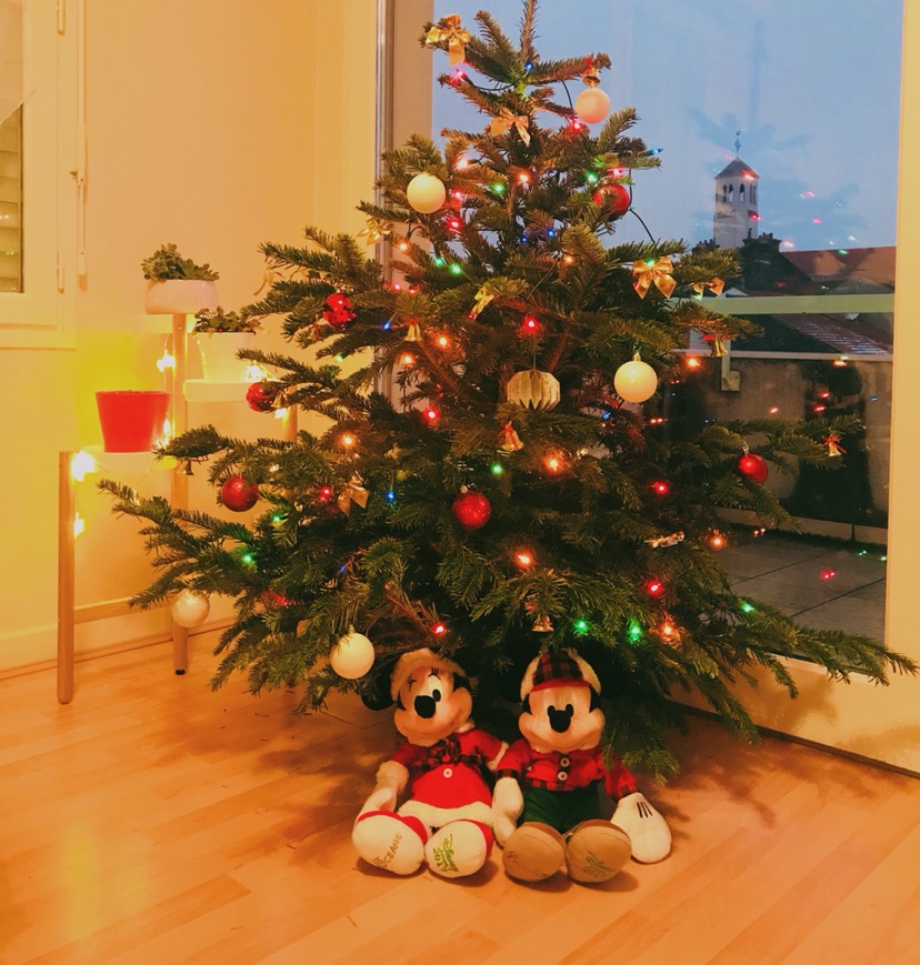 🎄斯堡圣诞集市搜集小物🎄