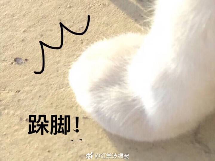 fu订单问题