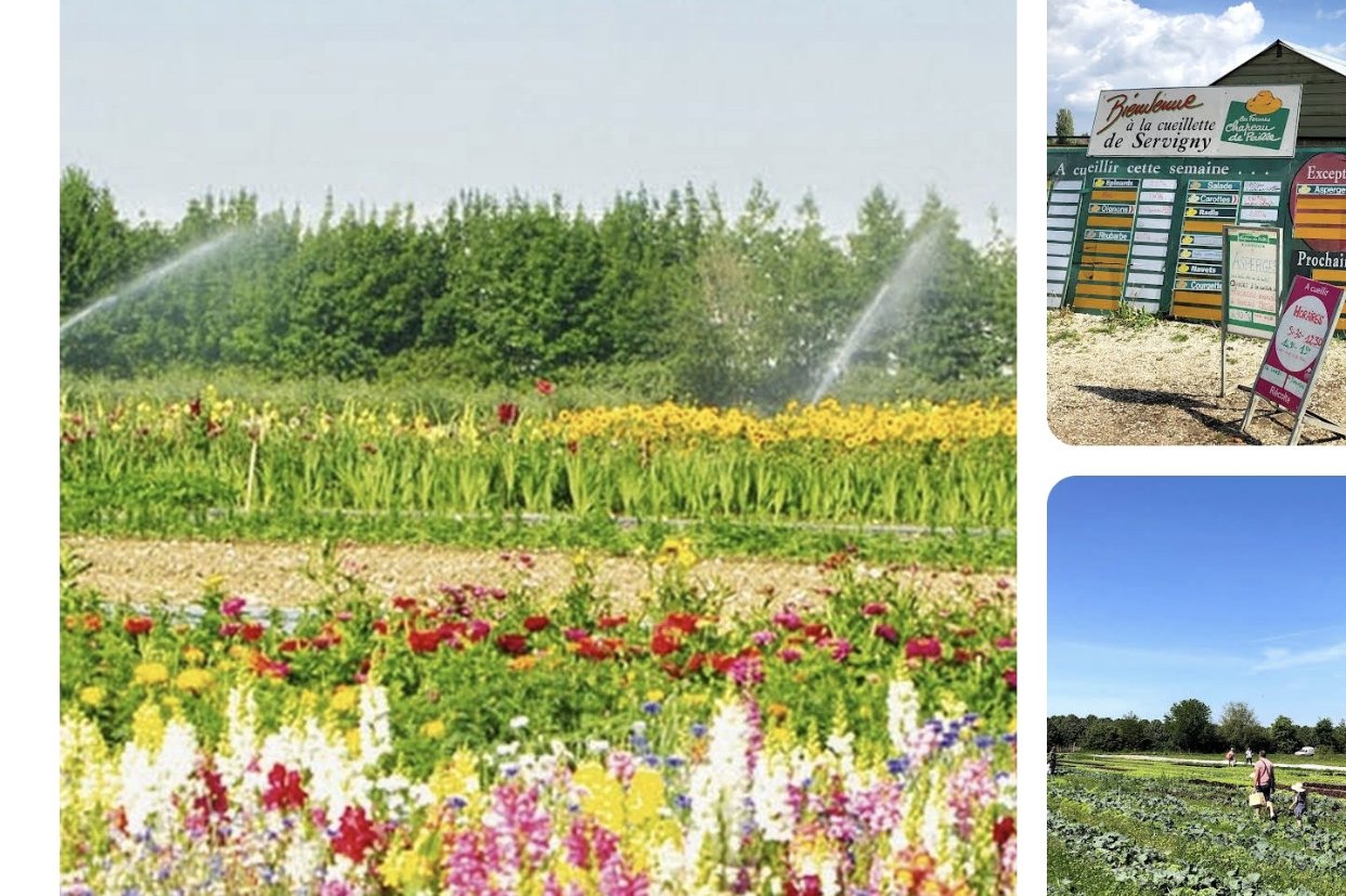 cueillette servigny 农场采摘