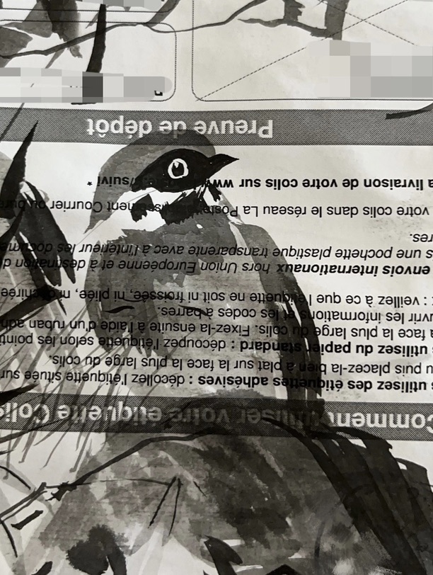 无聊,画完又舍不得扔了😂