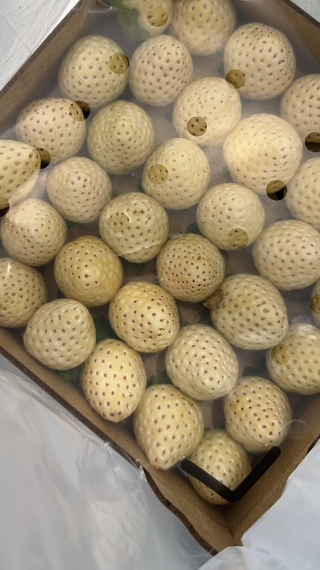 对奶油草莓祛魅了😅😅