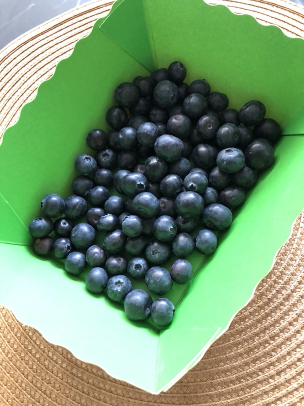 Mon Marché扩大了配送范围