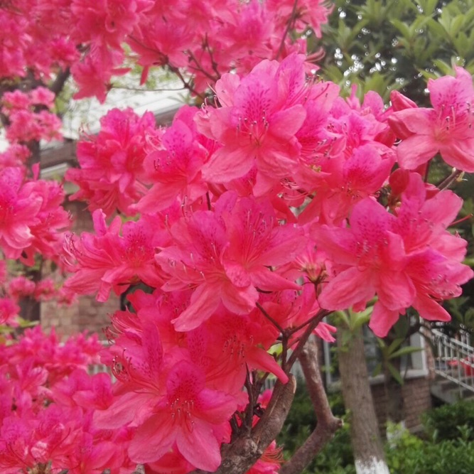 妈妈总是关心你吃没吃饱