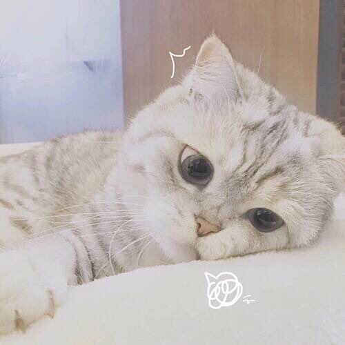 签证问题:巴黎飞芬兰看极光