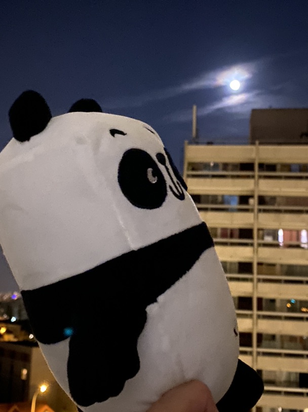 Day11 十五的月亮🌙十六元