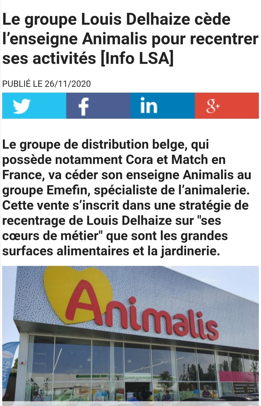#宠物用品店#: Animalis明年要换主人啦