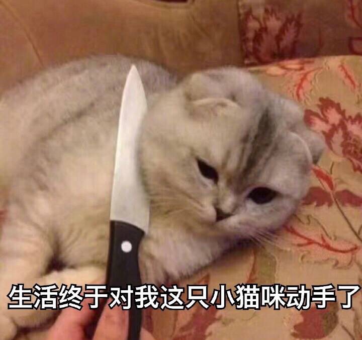 春季前后疯狂长肉 减肥妙招有木有