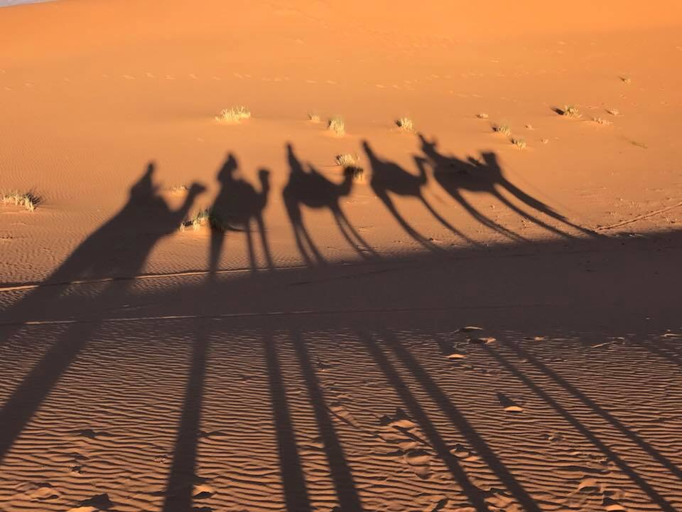 摩洛哥🇲🇦之旅