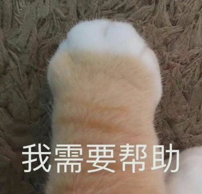 有给白衣去黄的产品推荐吗?