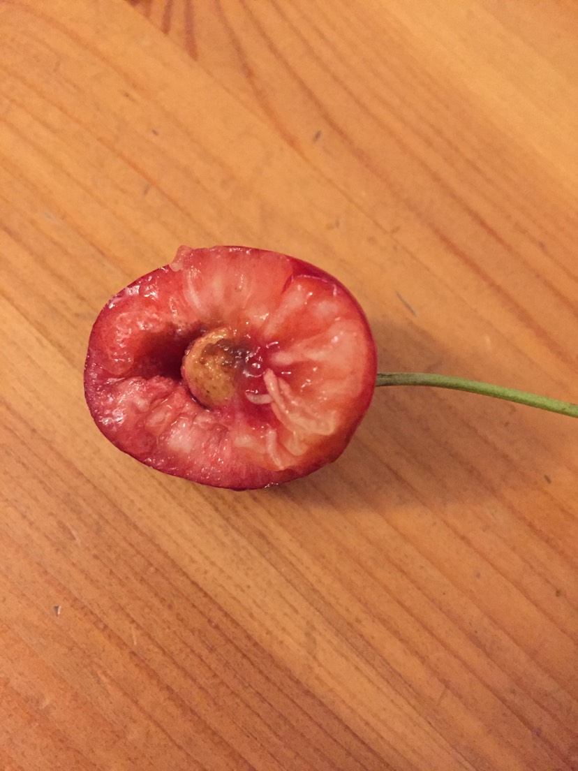 樱桃🍒里面的虫子