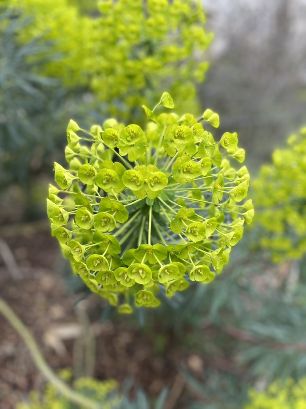 关于驾校让我去Google留好评？