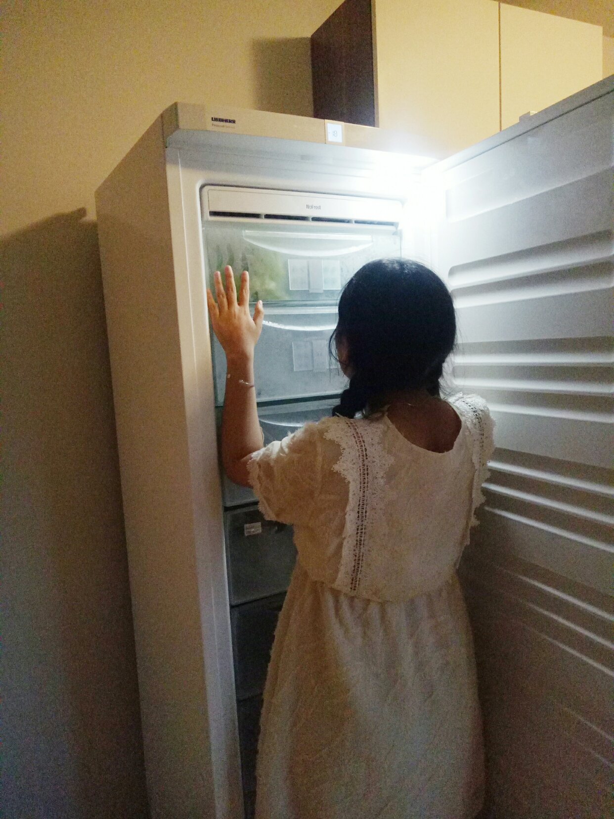 冰箱女孩必须拥有姓名👧