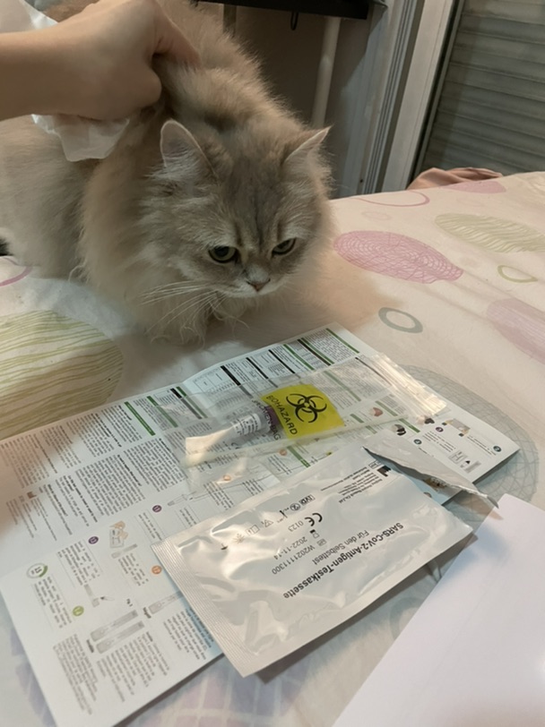 一屋子新冠各自在房间里跨年