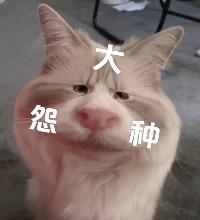 tk新特效我笑死了