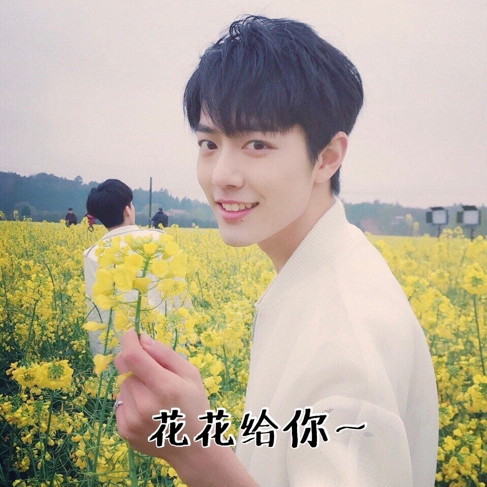 求M家或S家折扣码