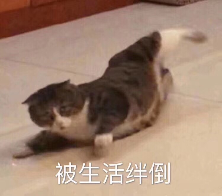 感觉压力太大了