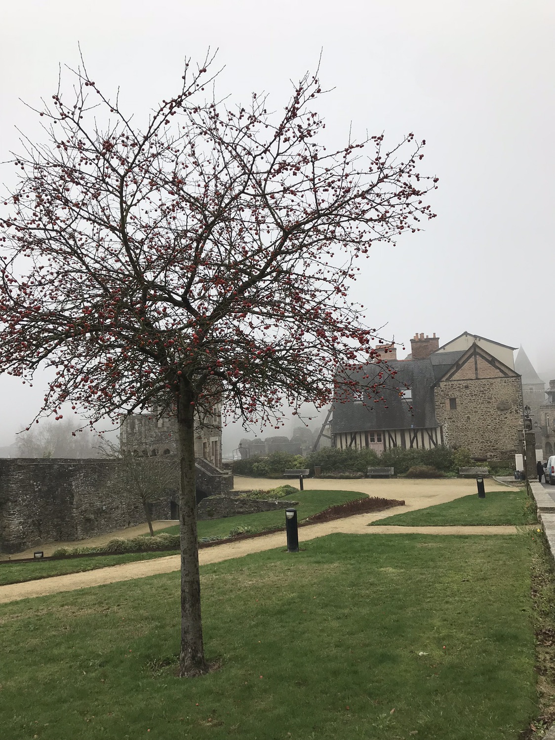Fougères 城堡