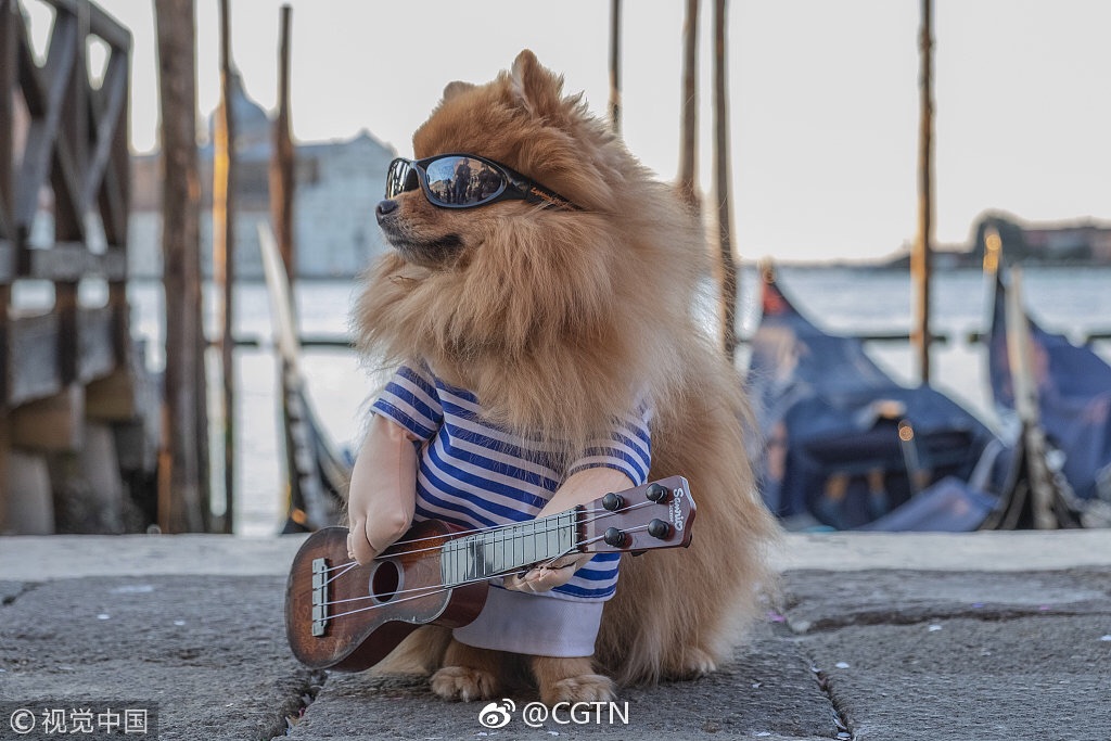 求个紫色或蓝色染发膏