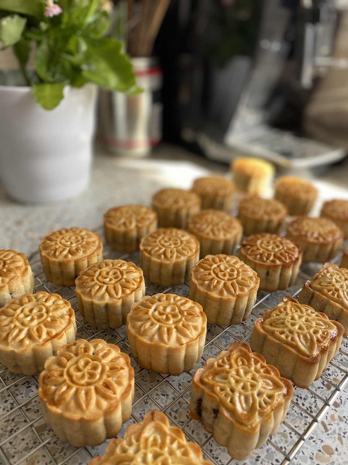 来，吃个八仁月饼