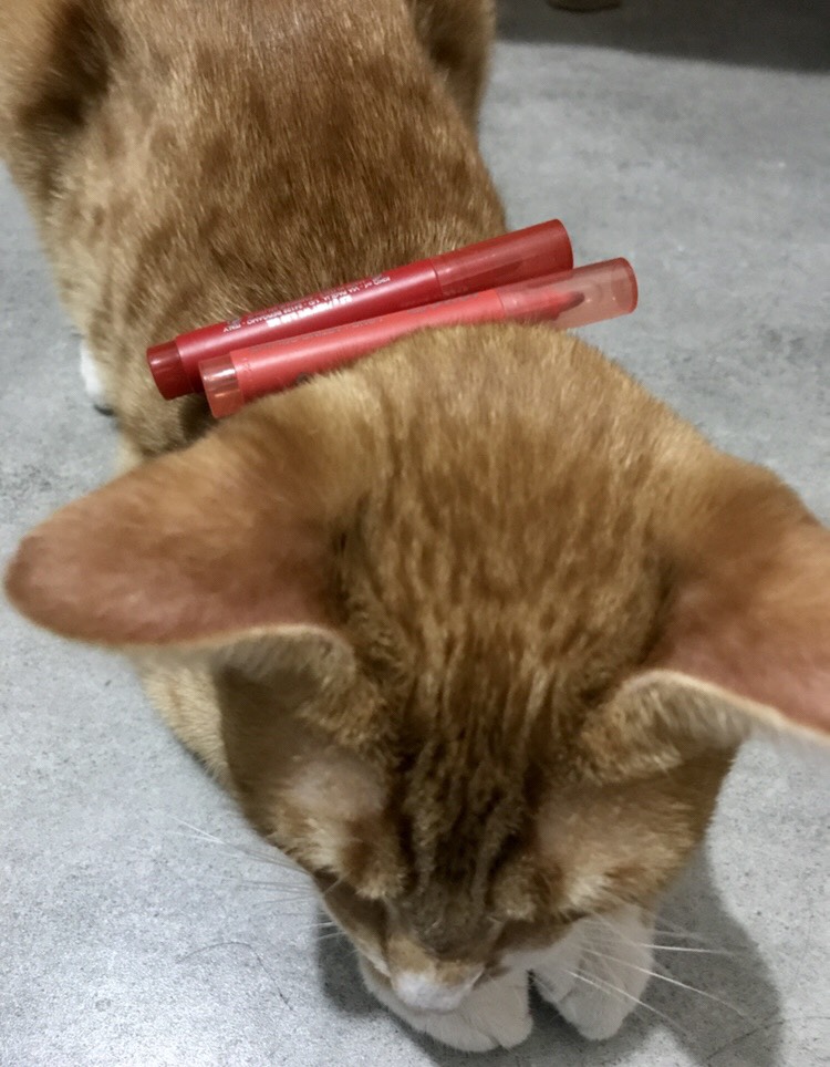 嘴唇💄用什么卸好呢？？？
