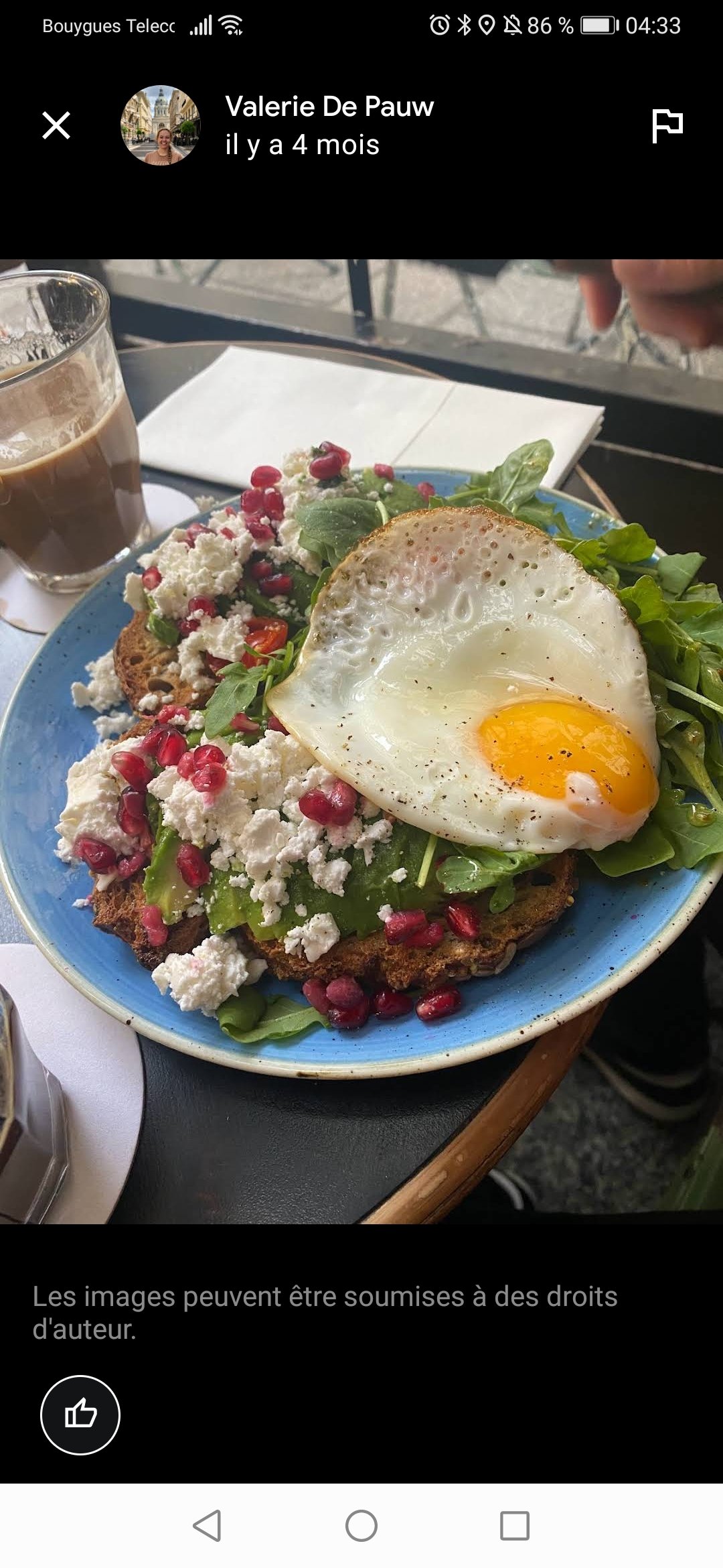 网红brunche复制