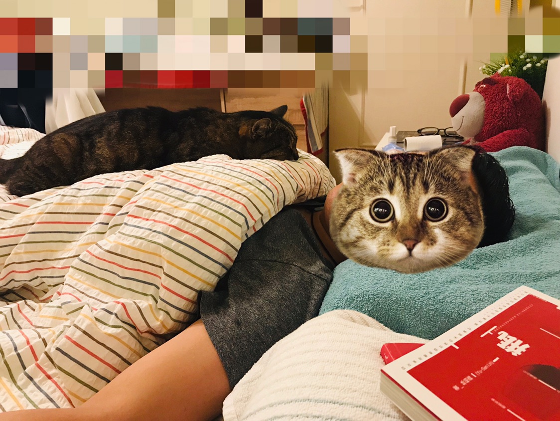 睡不着？睡不好？试试软乎乎的猫崽呼噜噜助眠？