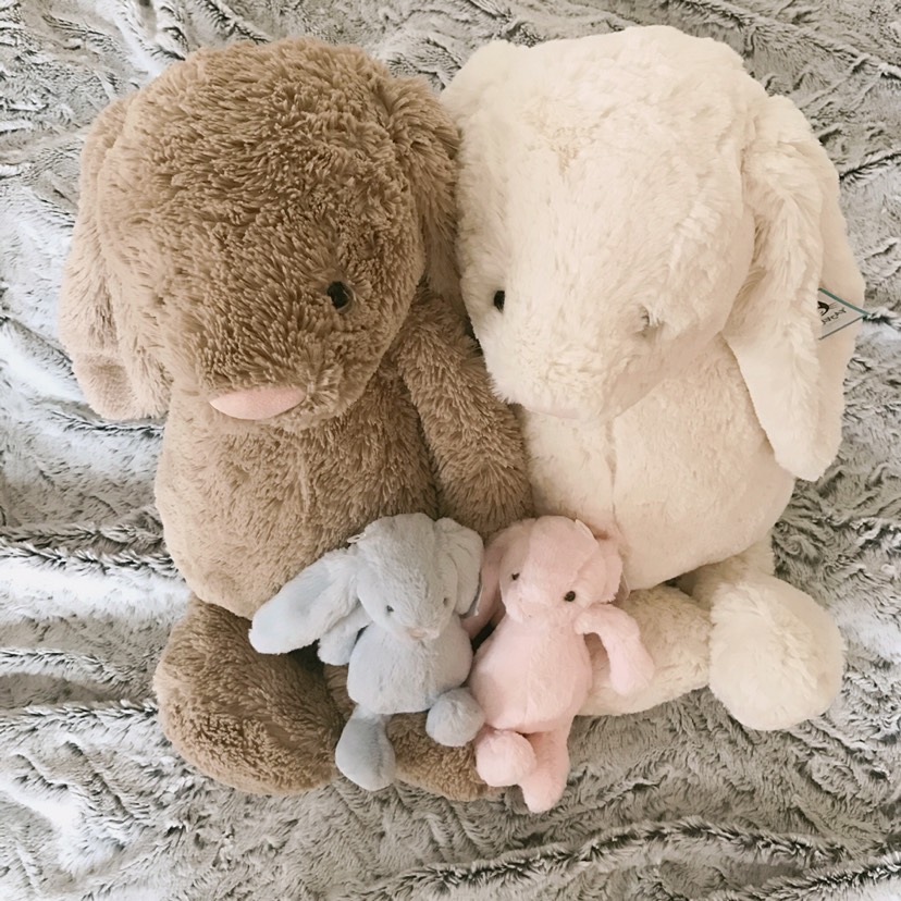 留学狗必备❤️jellycat 安抚兔🐰邦尼兔