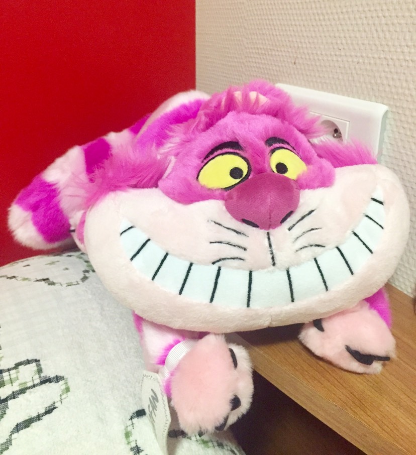 柴郡猫的毛意外地好撸