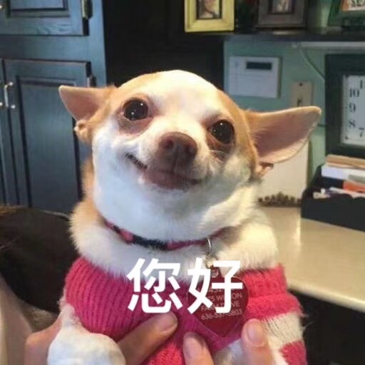巴黎有玩射箭的地方吗