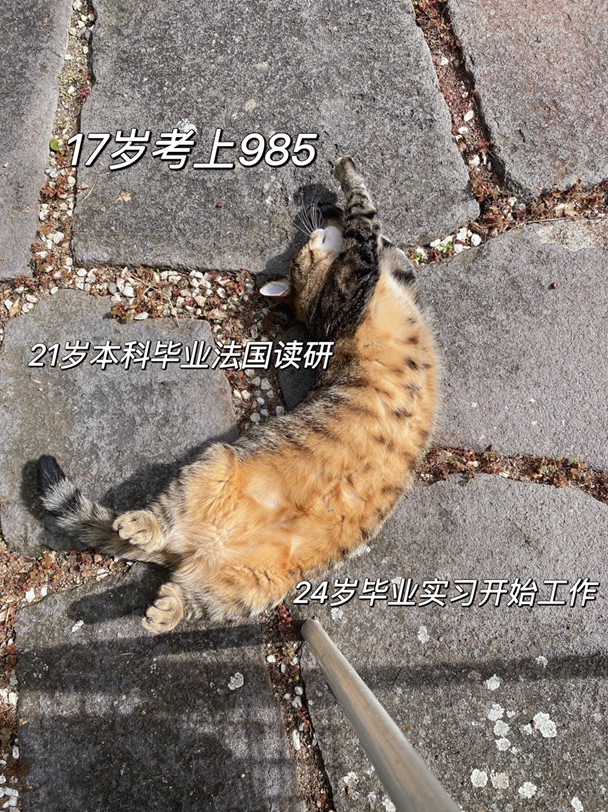 27岁之前小镇做题家 27岁之后躺平小能手🤪