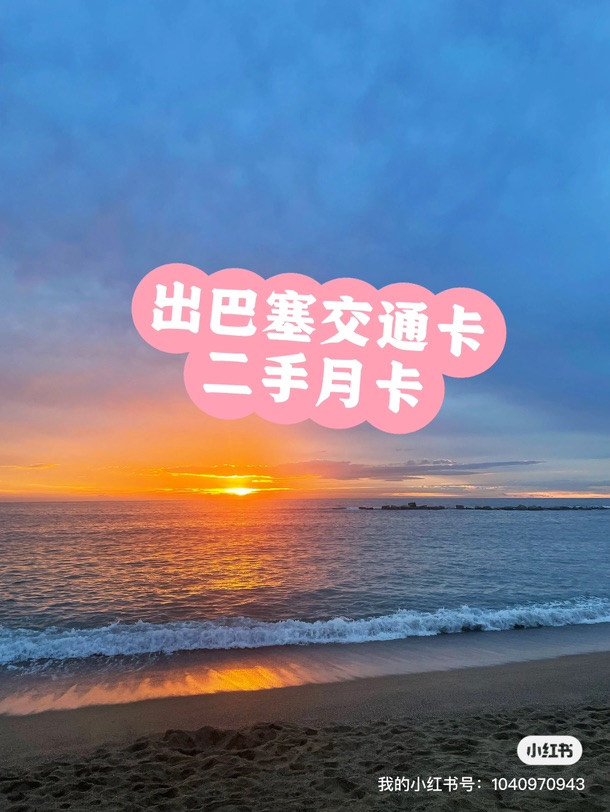 低价出巴塞交通月卡