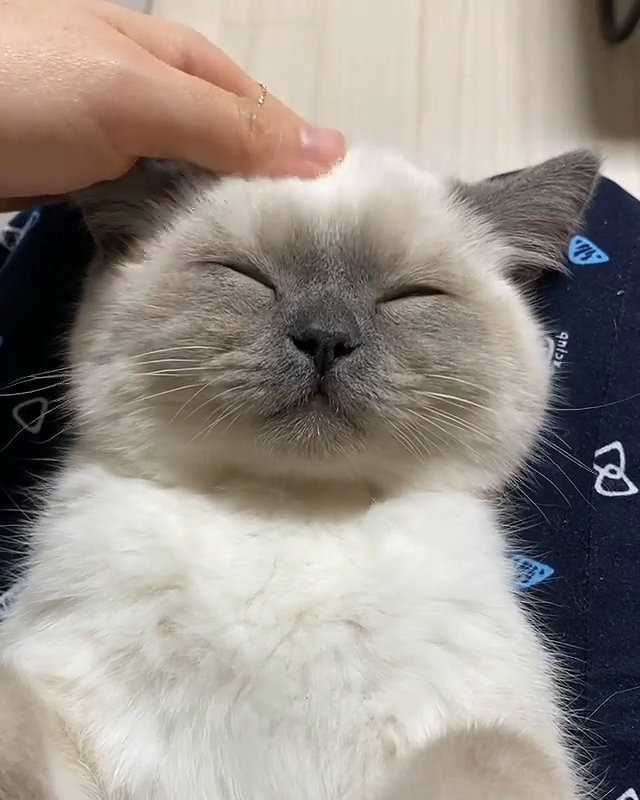 一分钱生日快乐